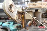 九宫算命小蚕虫变身“产业龙”，广西这座小城如何实现“破茧重生”？